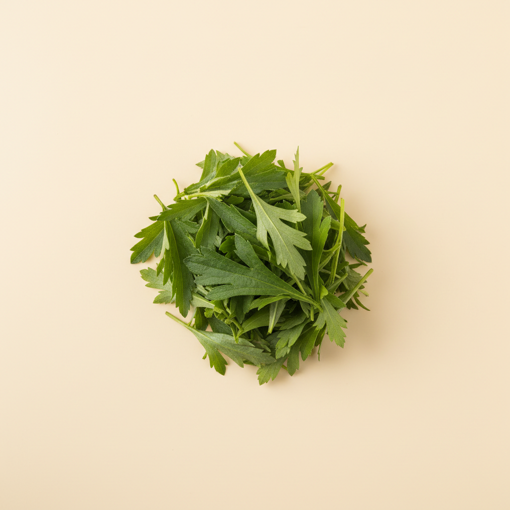 Ảnh Lá ngải cứu