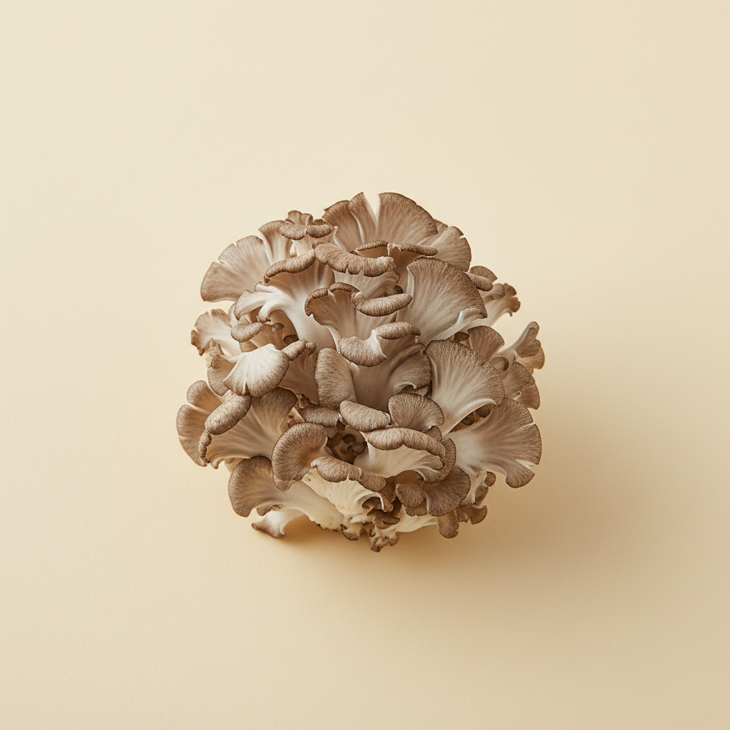 Ảnh Nấm maitake