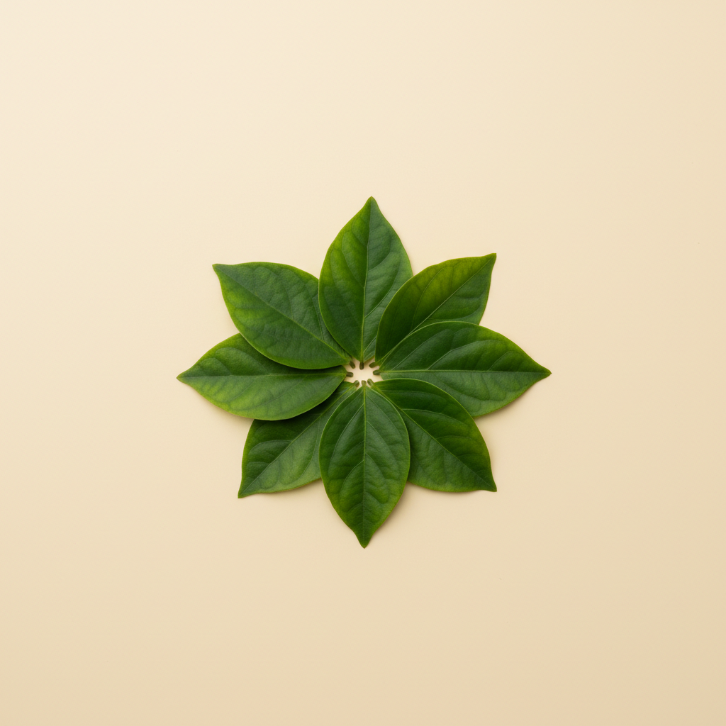 Ảnh Lá yanang