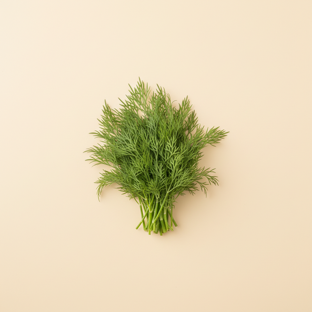 Photograph of Dill