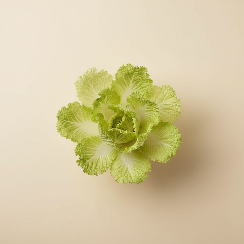 Ảnh Cải thảo