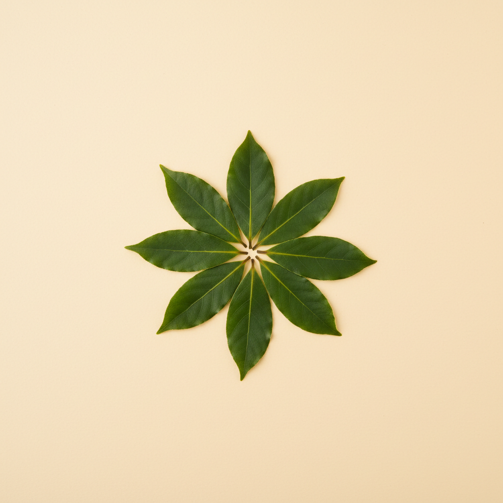 Ảnh Lá nguyệt quế