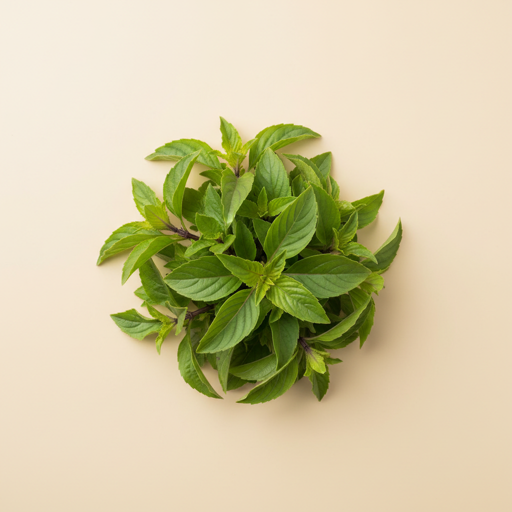 Photograph of Holy basil krapao