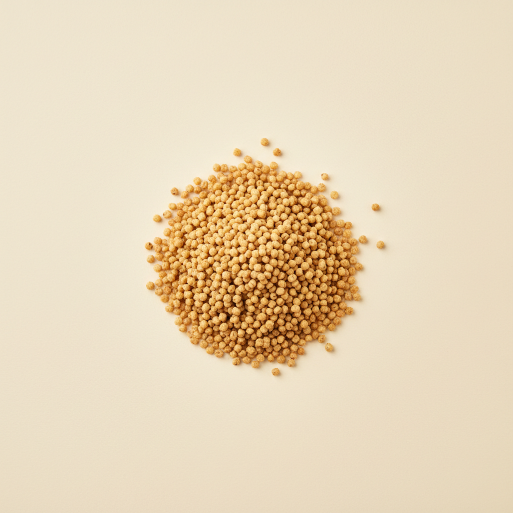 Photograph of Sardinian fregola
