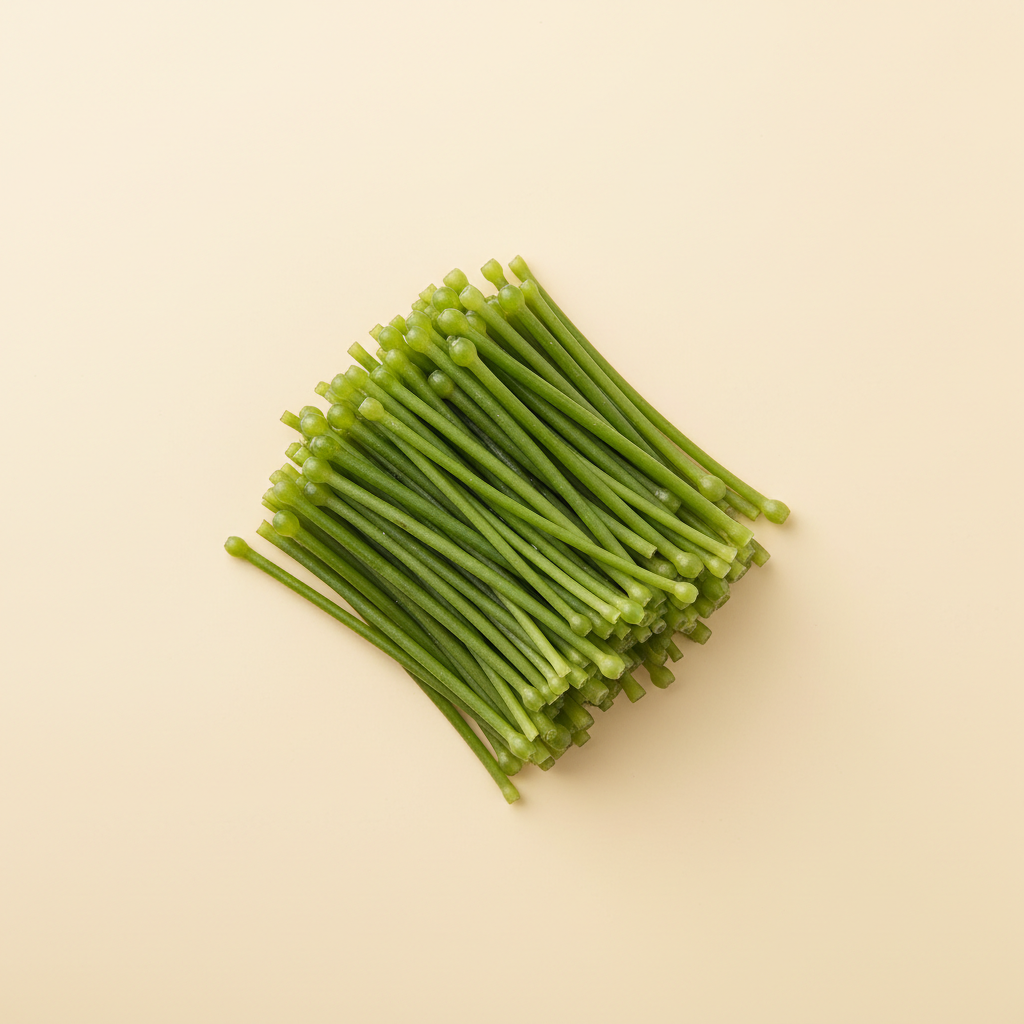 Photograph of Limnocharis