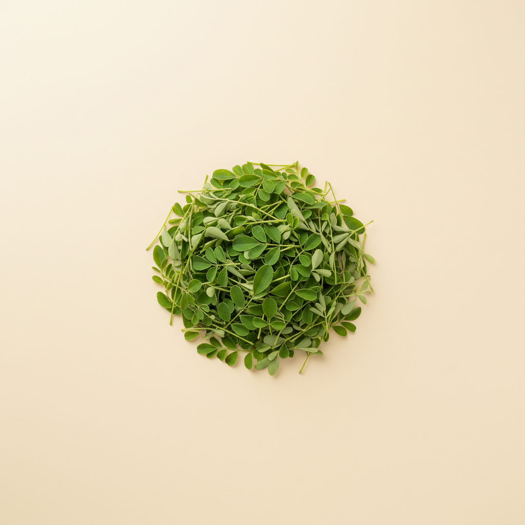 Photograph of Moringa leaves