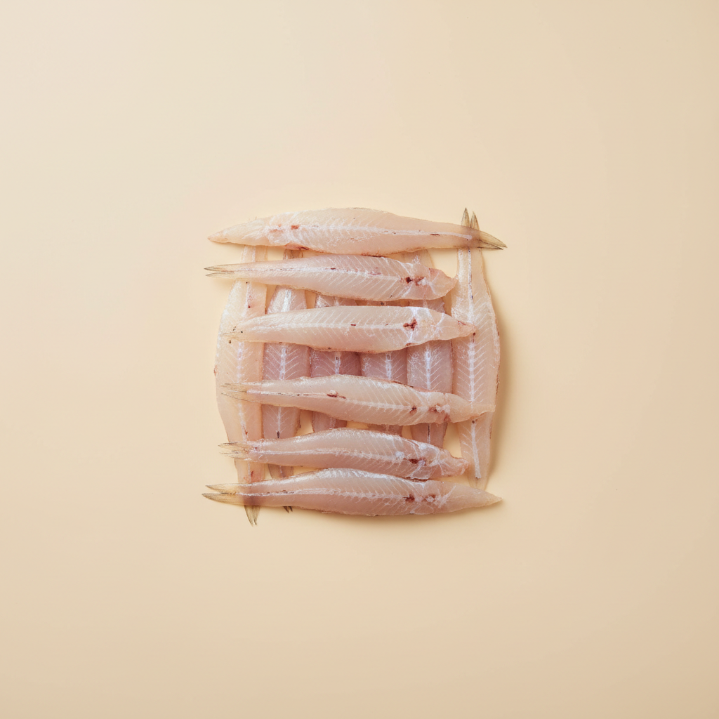 Photograph of Bombay duck fish