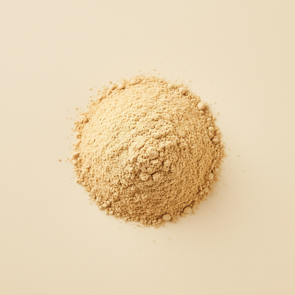 Photograph of Roasted chickpea flour sattu