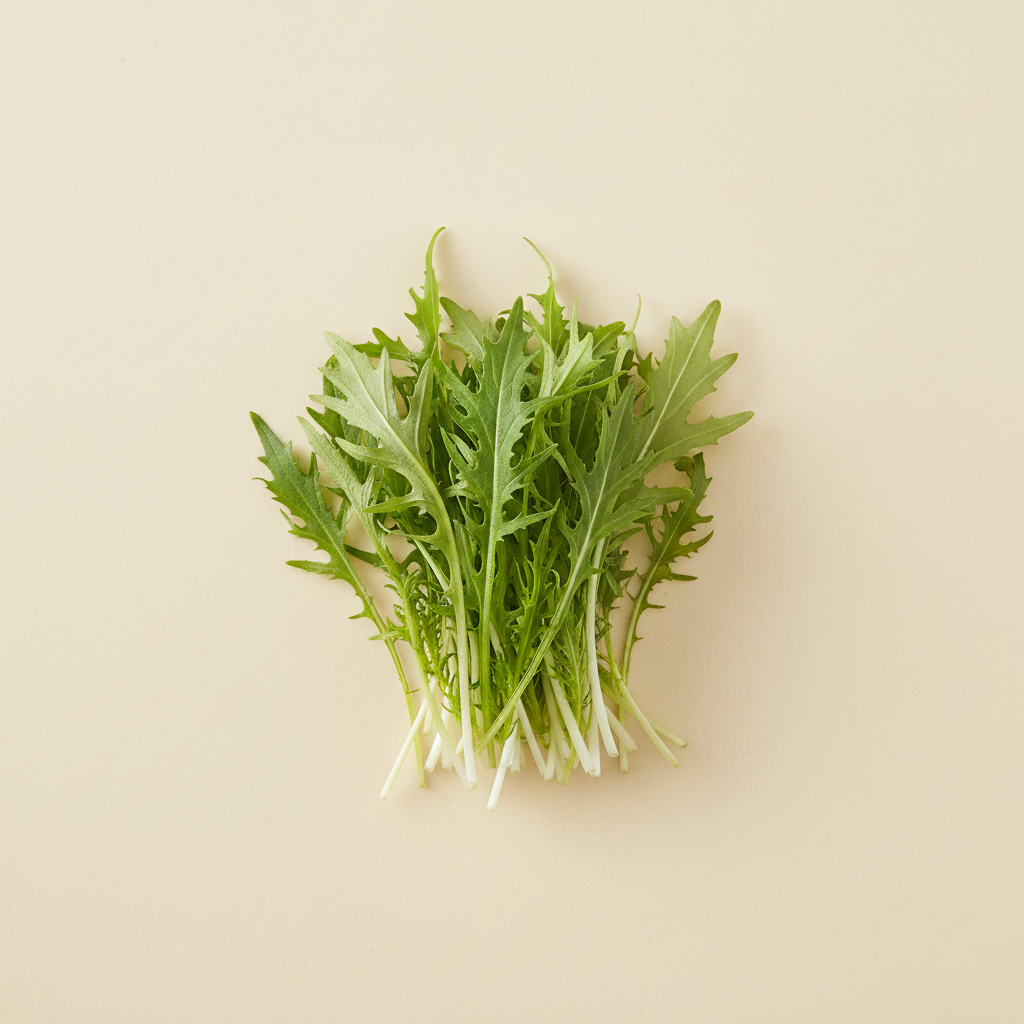 Ảnh Cải mizuna