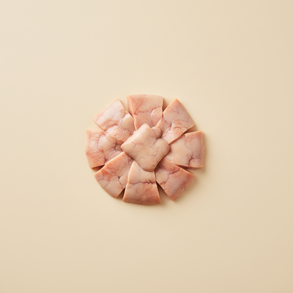 Ảnh Cá anko (cá thầy tu)
