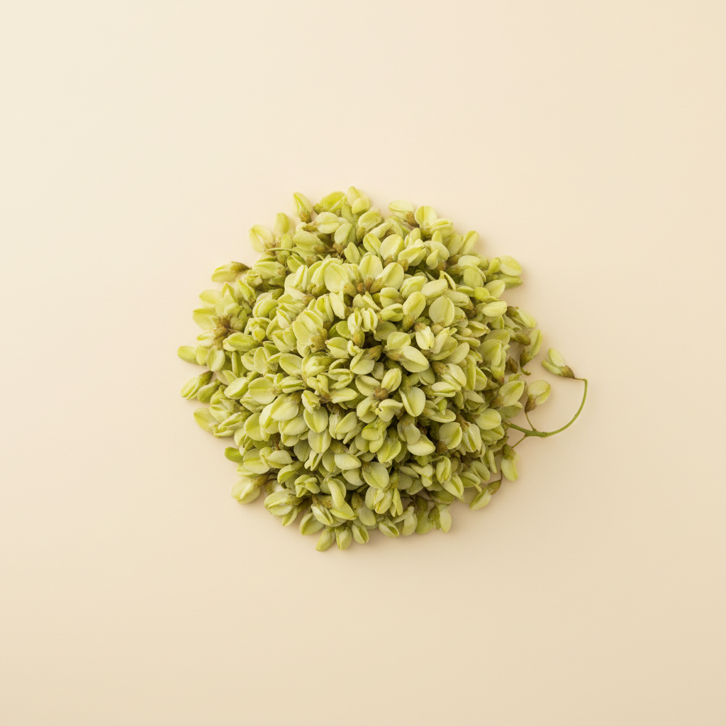 Photograph of Acacia flowers