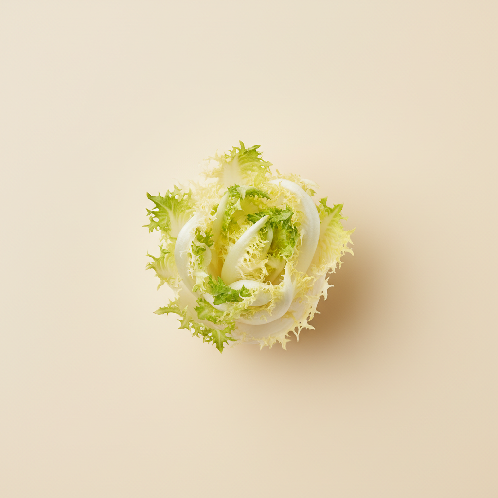 Ảnh Rau endive (rau diếp xoăn búp)