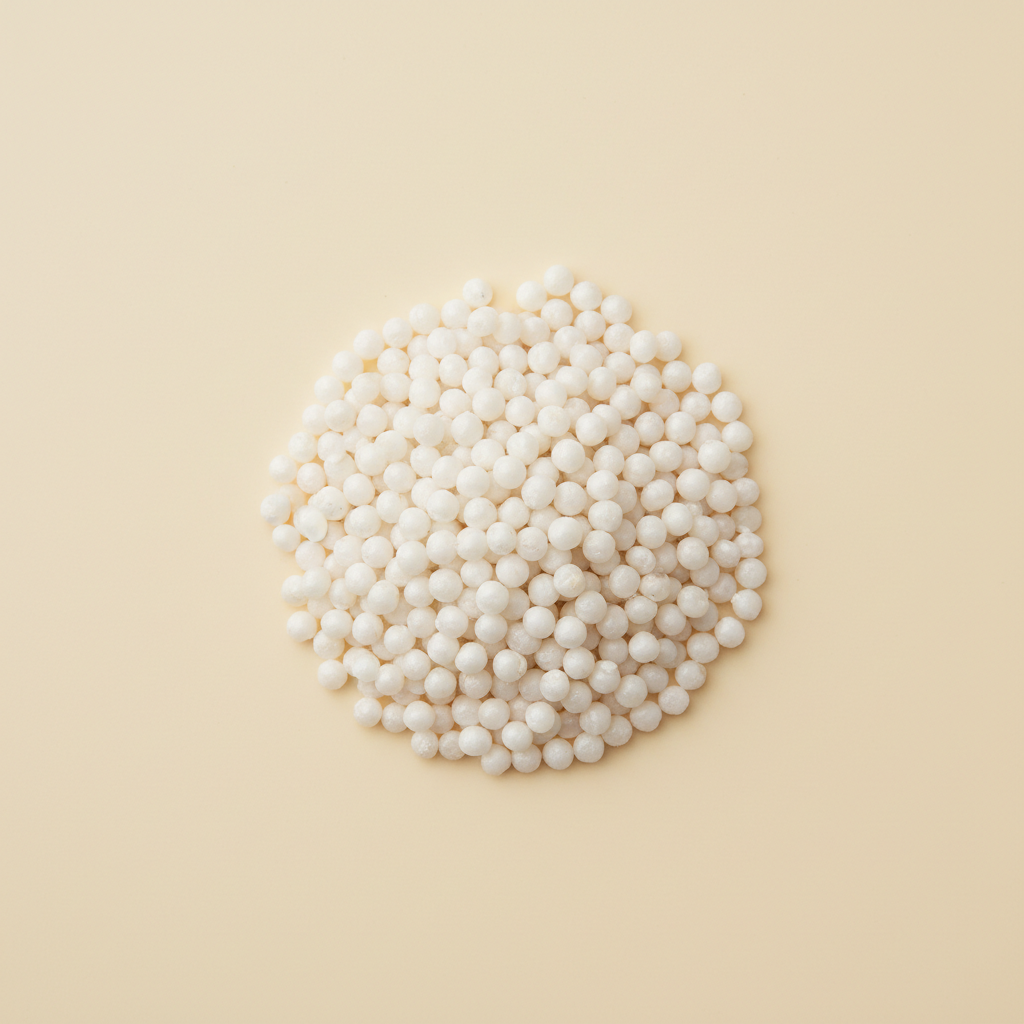 Photograph of Sago seeds (sabudana)