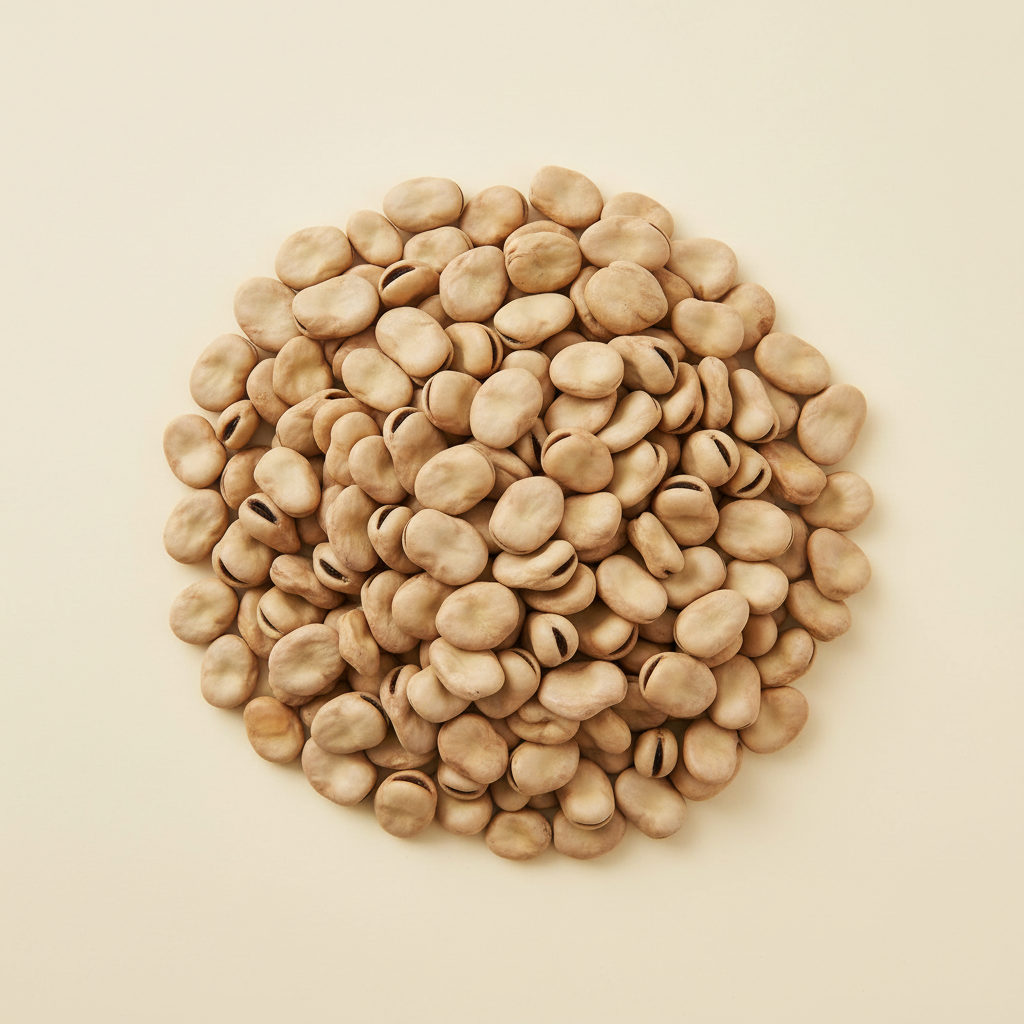 Ảnh Đậu fava khô